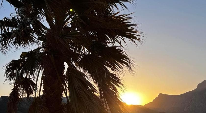 Finca Oliva Bed and Breakfast in Marina Baixa