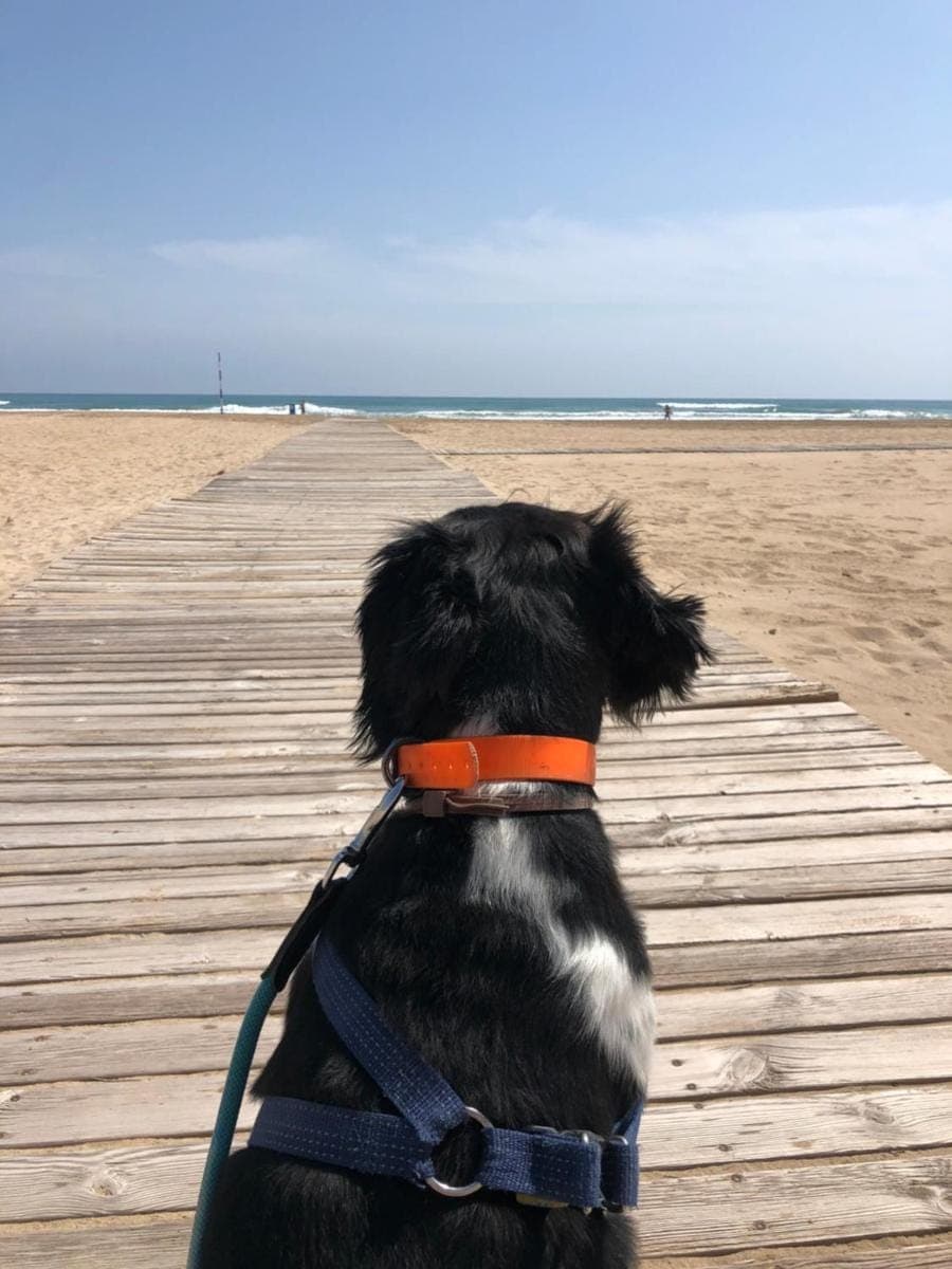 Hugo Beach Hotel & Apartments Hotel in Gandia