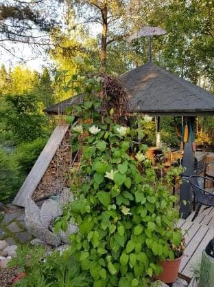 Riverfront Cottageee Chalet in Finland