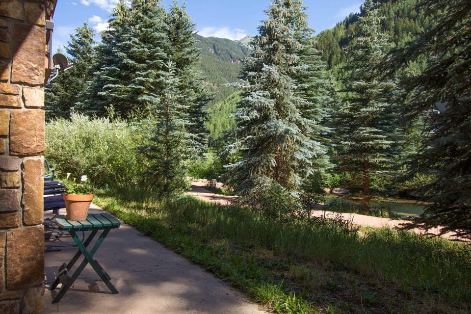Live amongst the trees.