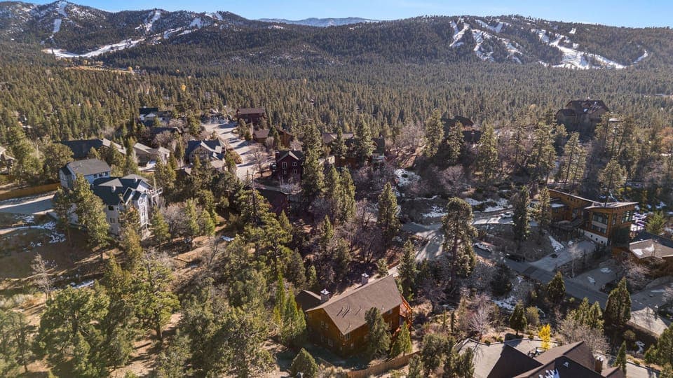 Aerial view of the neighborhood.