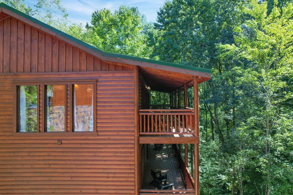 Tree views from the balcony.