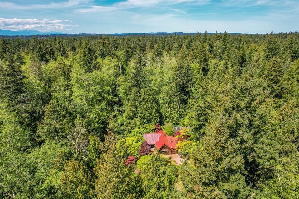 Lost in the beauty of a home cocooned by foliage.