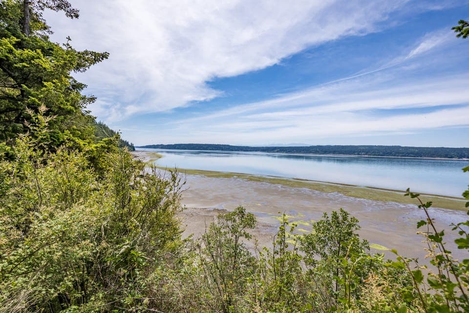 Lost in the mesmerizing ripples of the water's tranquil embrace.