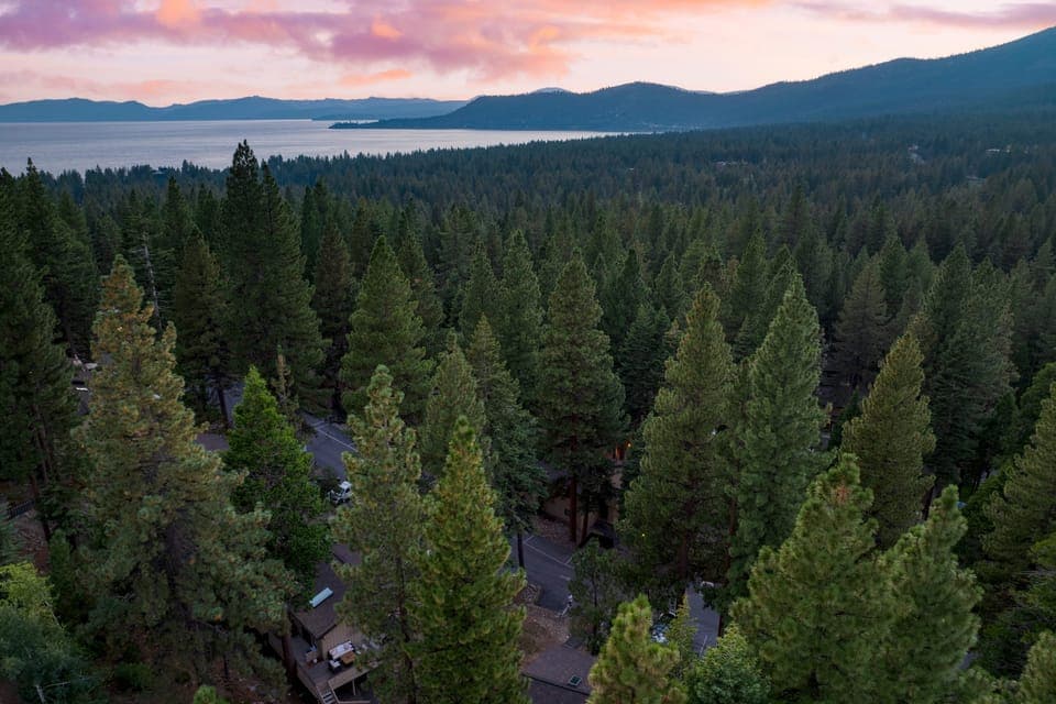 Towering trees create a picturesque setting.