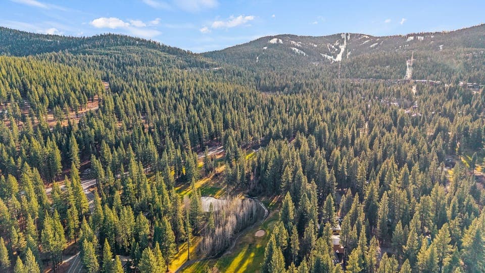 Aerial view of the neighborhood.