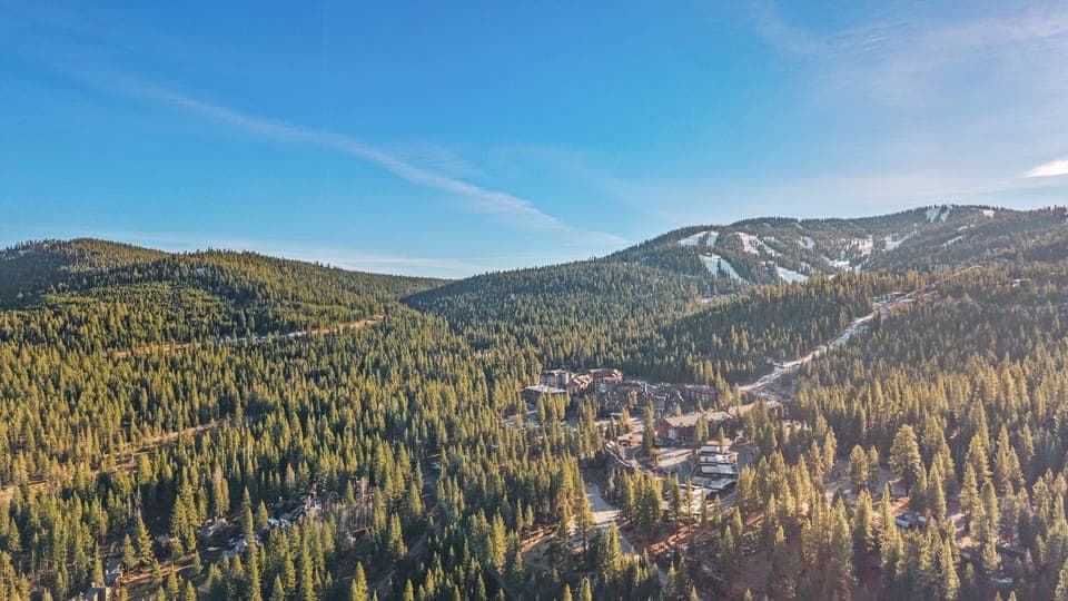 Aerial view of the neighborhood.