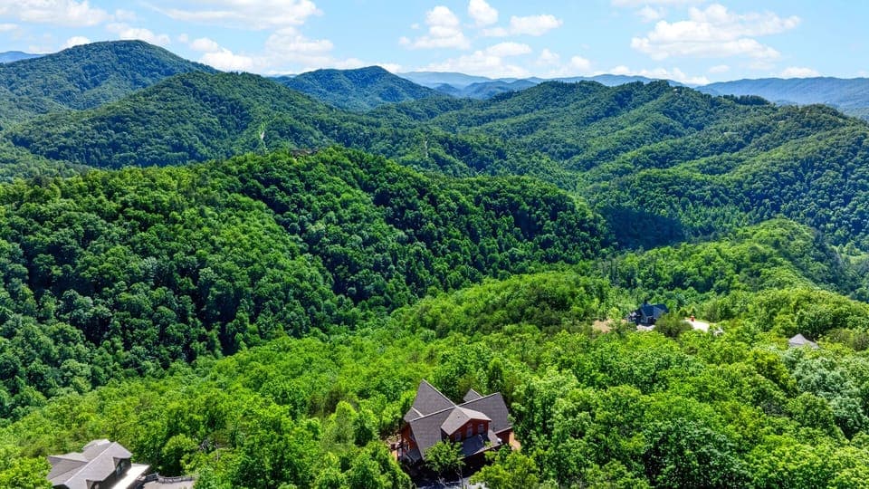 Total seclusion surrounded by thousands of acres of green forest.