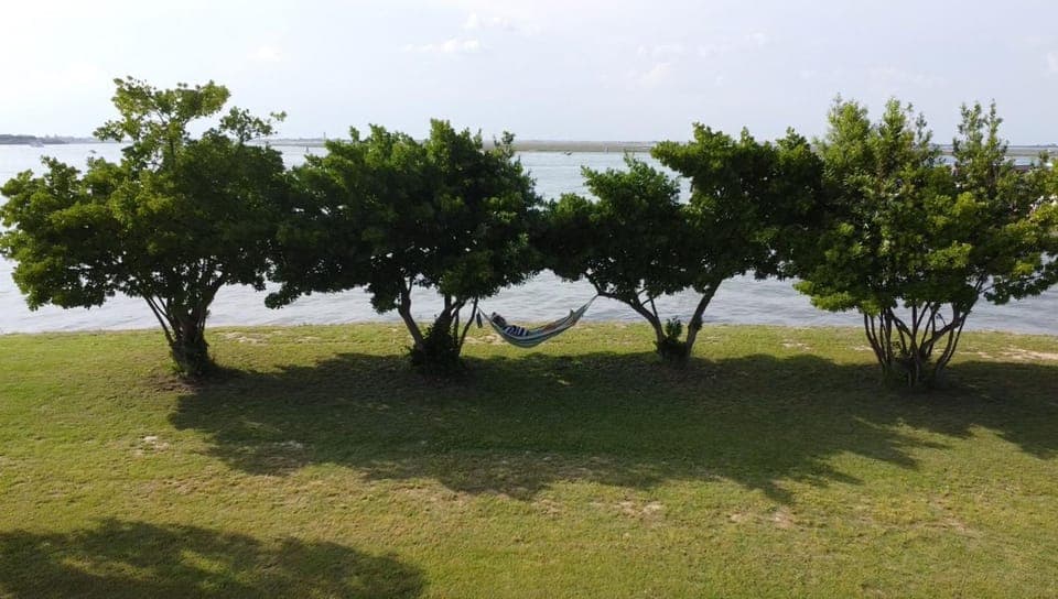 Day, Summer, Garden, Sea view