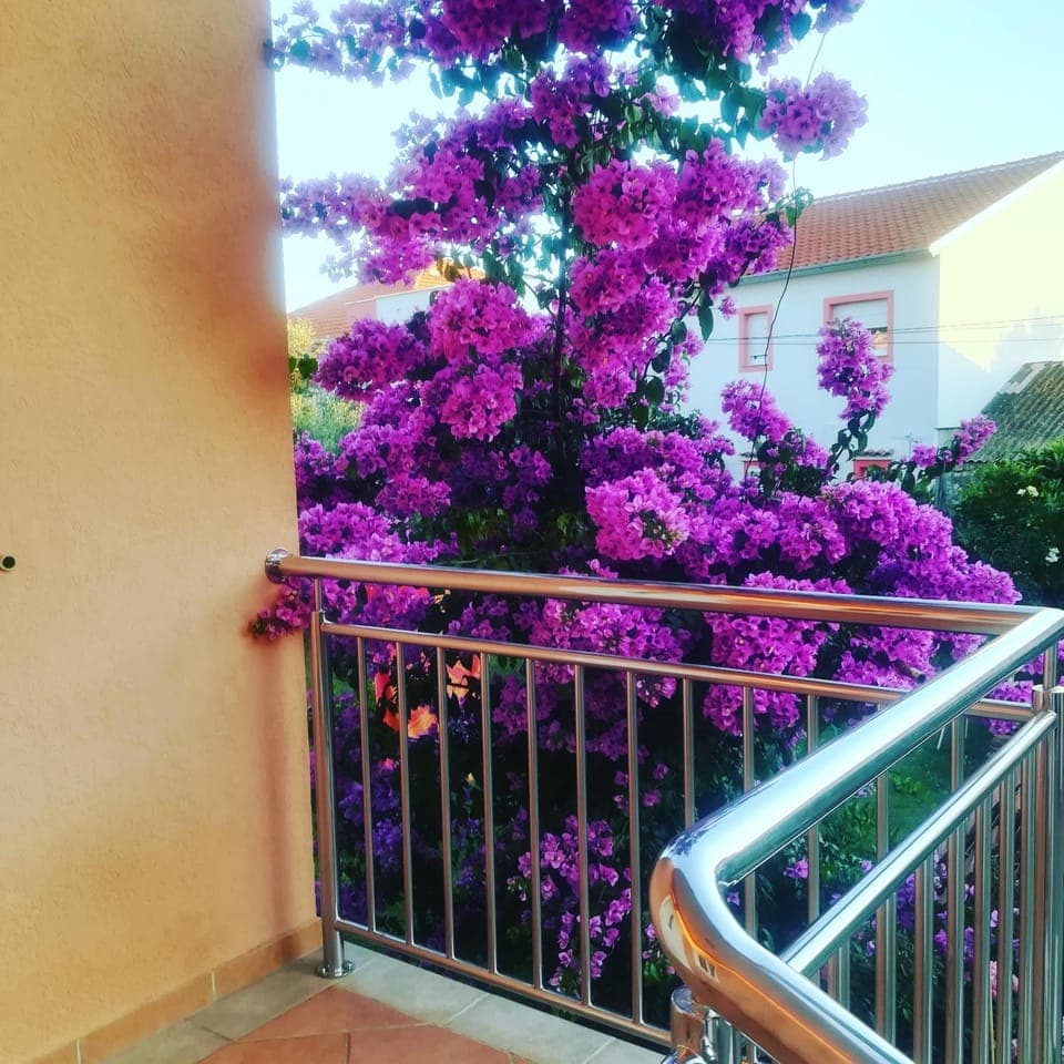 Garden, Garden view
