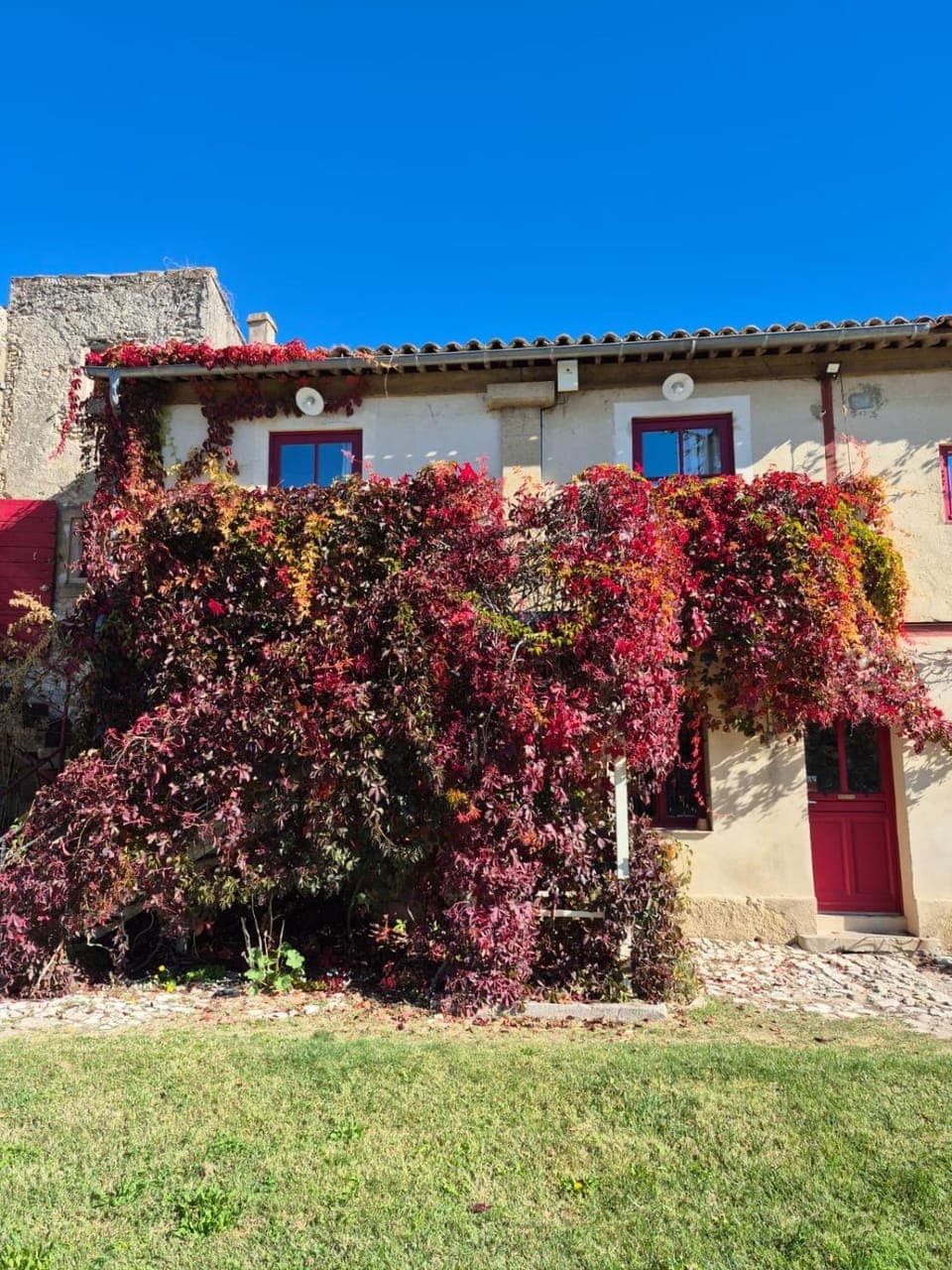 Property building, Spring, Day, Garden, Garden view