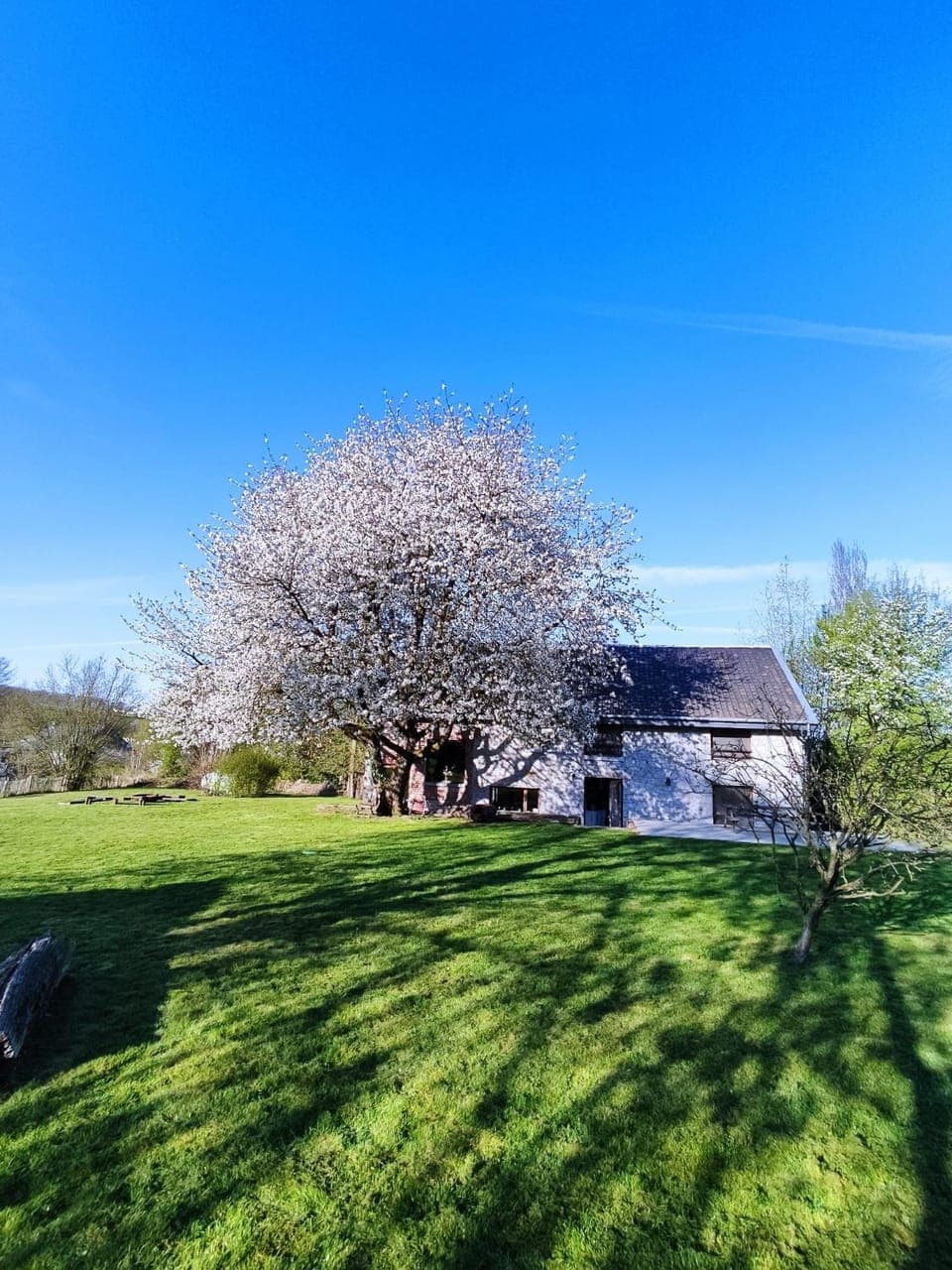 Property building, Day, Garden, Garden view