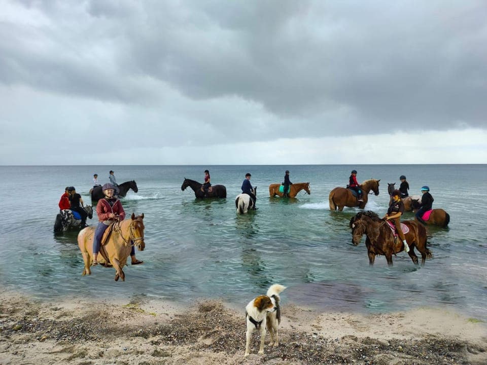 Horse-riding, children