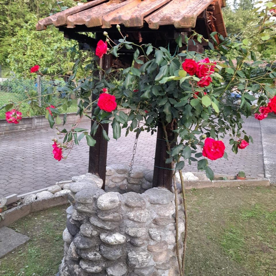 Spring, Day, Garden, Garden view