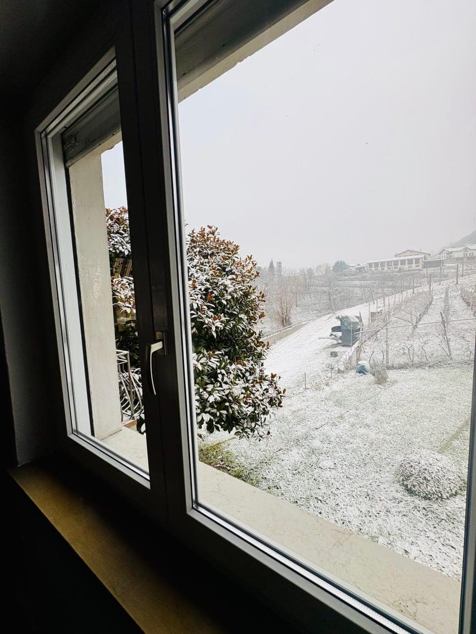 Natural landscape, Winter