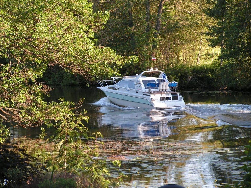 Summer, River view
