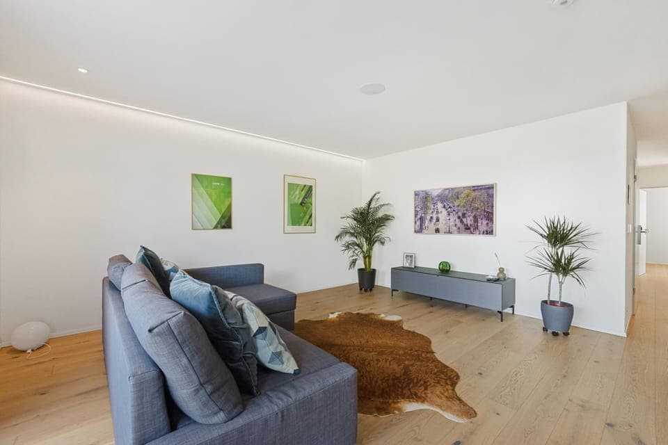 Living room, Decorative detail, Seating area