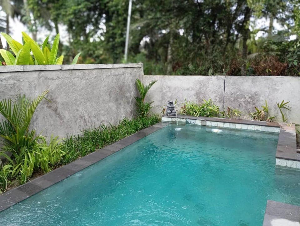 Day, Garden, Garden view, Pool view, Swimming pool
