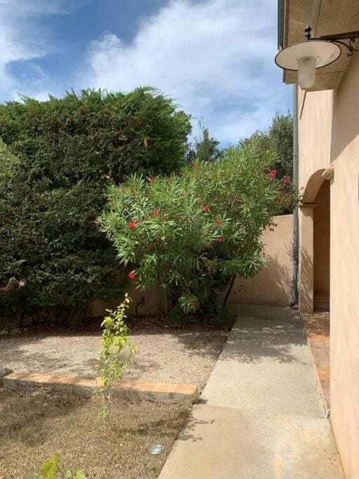 Property building, Garden, Garden view