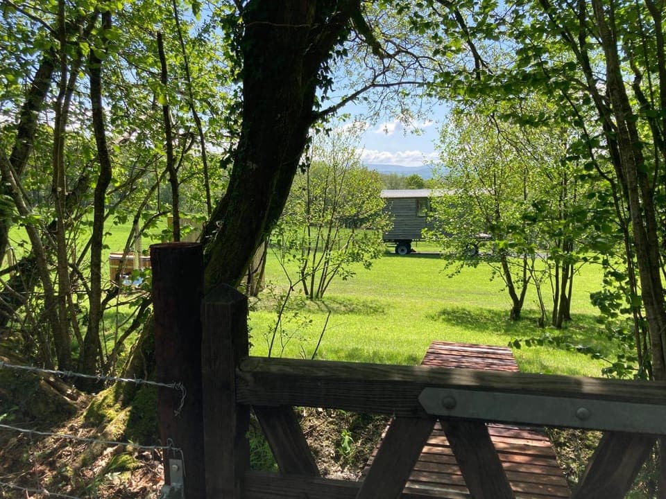 Natural landscape, Garden, Garden view