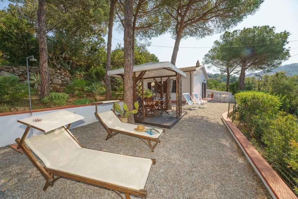 Natural landscape, Garden, Garden view, sunbed