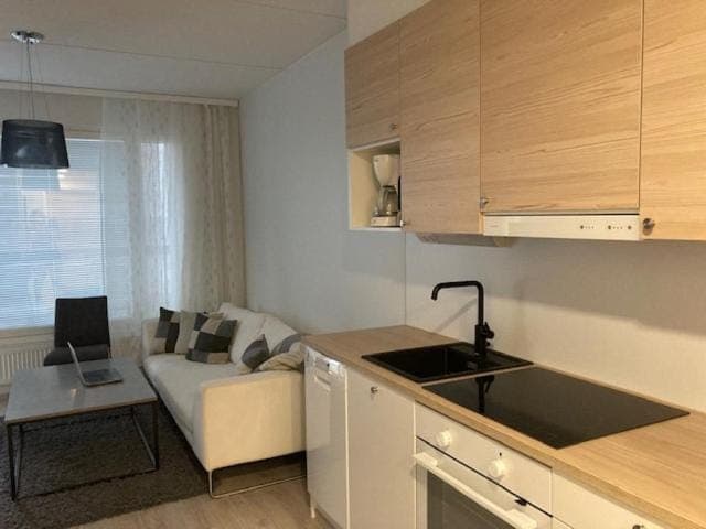 Kitchen or kitchenette, minibar, pet friendly, stove