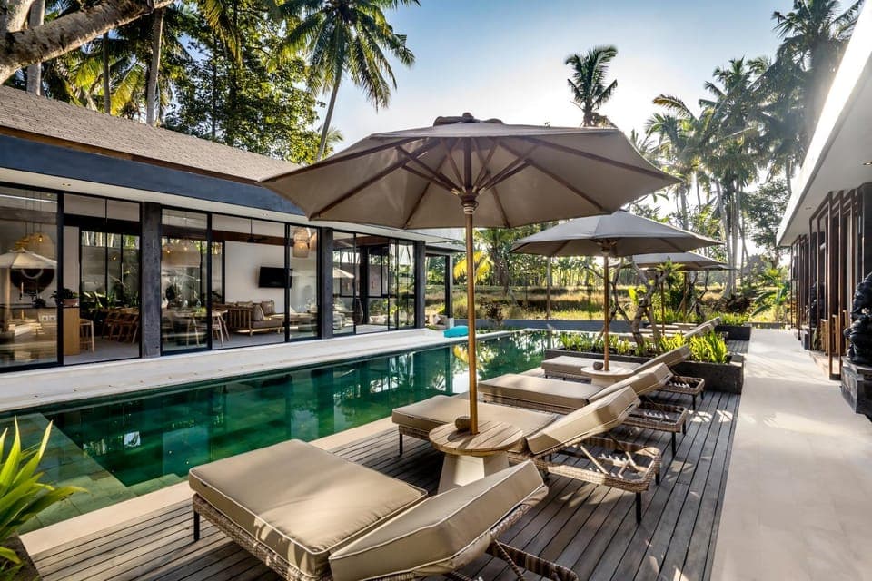 Garden, Pool view, Swimming pool, sunbed