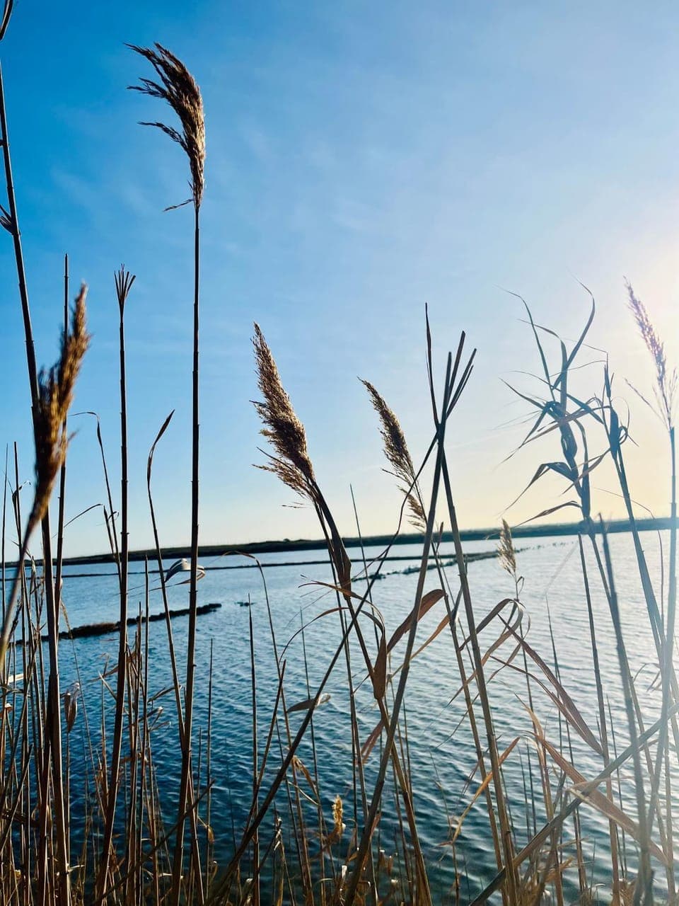 Day, Natural landscape