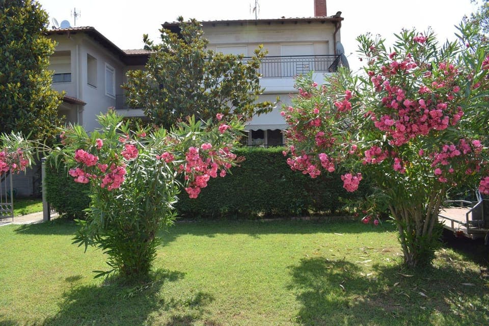 Property building, Spring, Day, Garden, Garden view