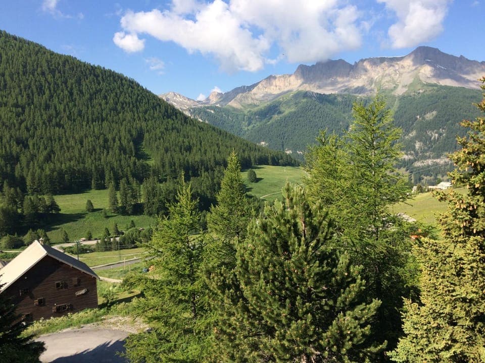 Spring, Mountain view