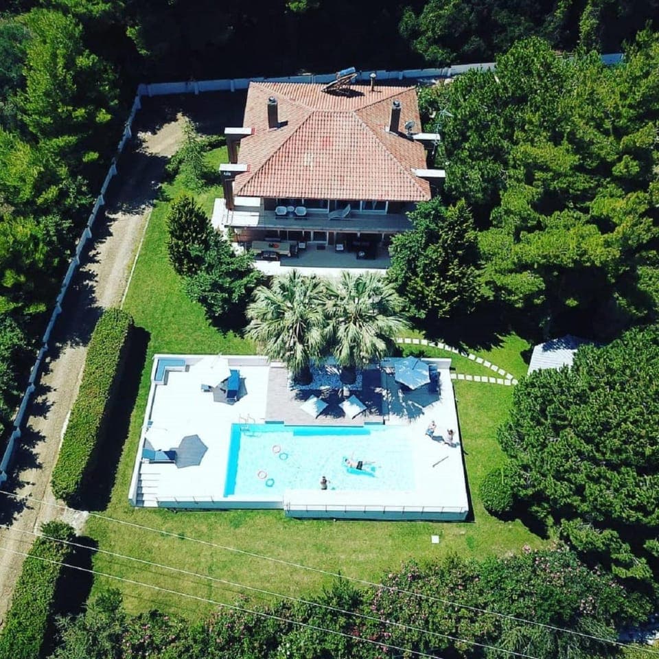Bird's eye view, Garden, Pool view