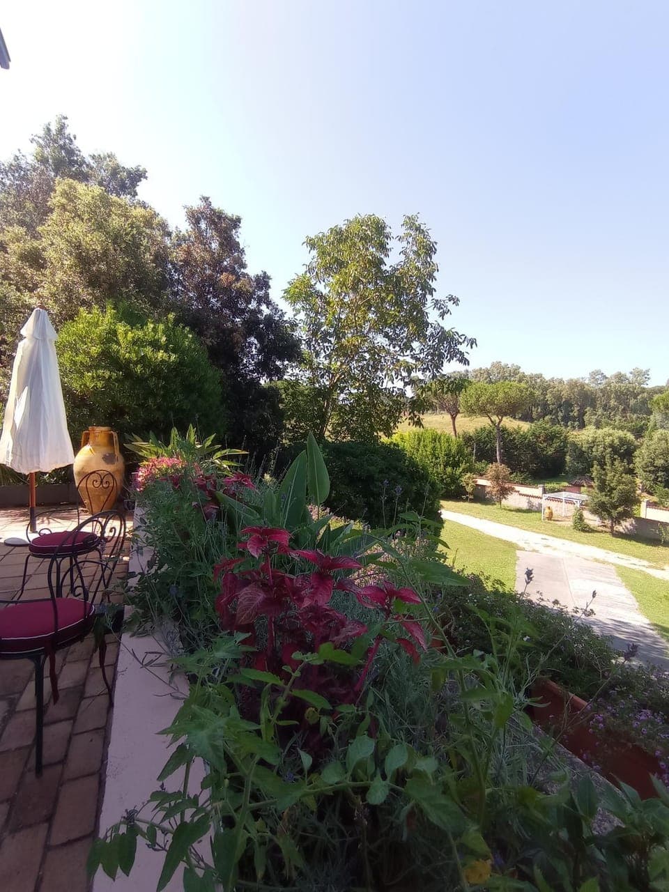 Natural landscape, Garden, View (from property/room)