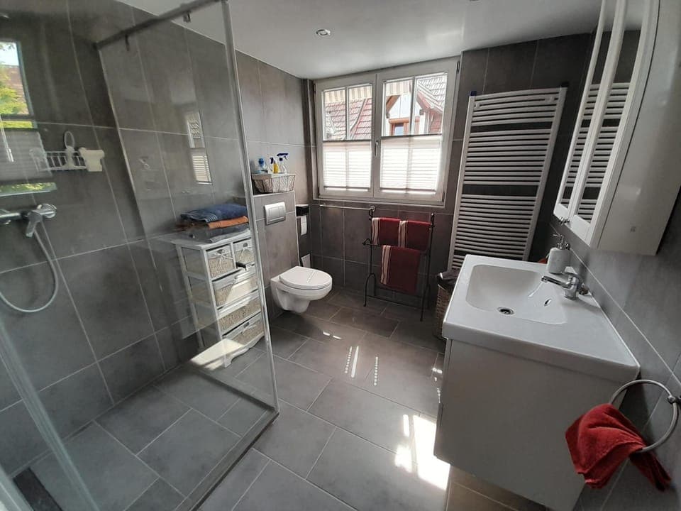 Shower, Toilet, Bathroom, towels