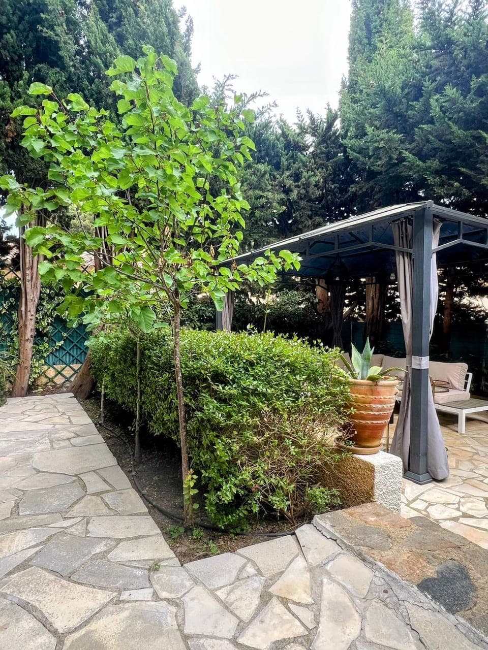 Property building, Patio