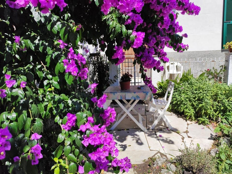 Property building, Spring, Day, Summer, Garden, Garden view