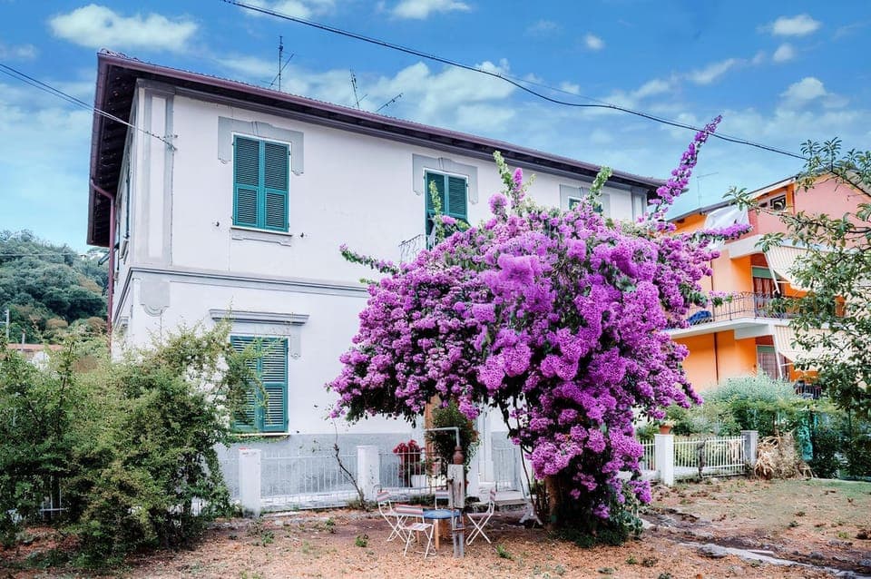 Property building, Spring, Day, Garden, Garden view