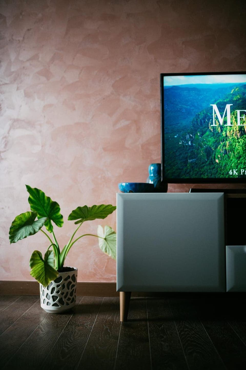 TV and multimedia