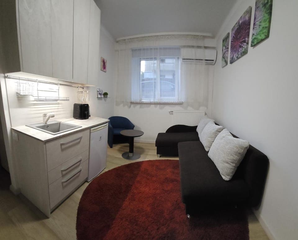 Bed, Kitchen or kitchenette, Living room, Photo of the whole room, Seating area, Bedroom, toaster, air conditioner