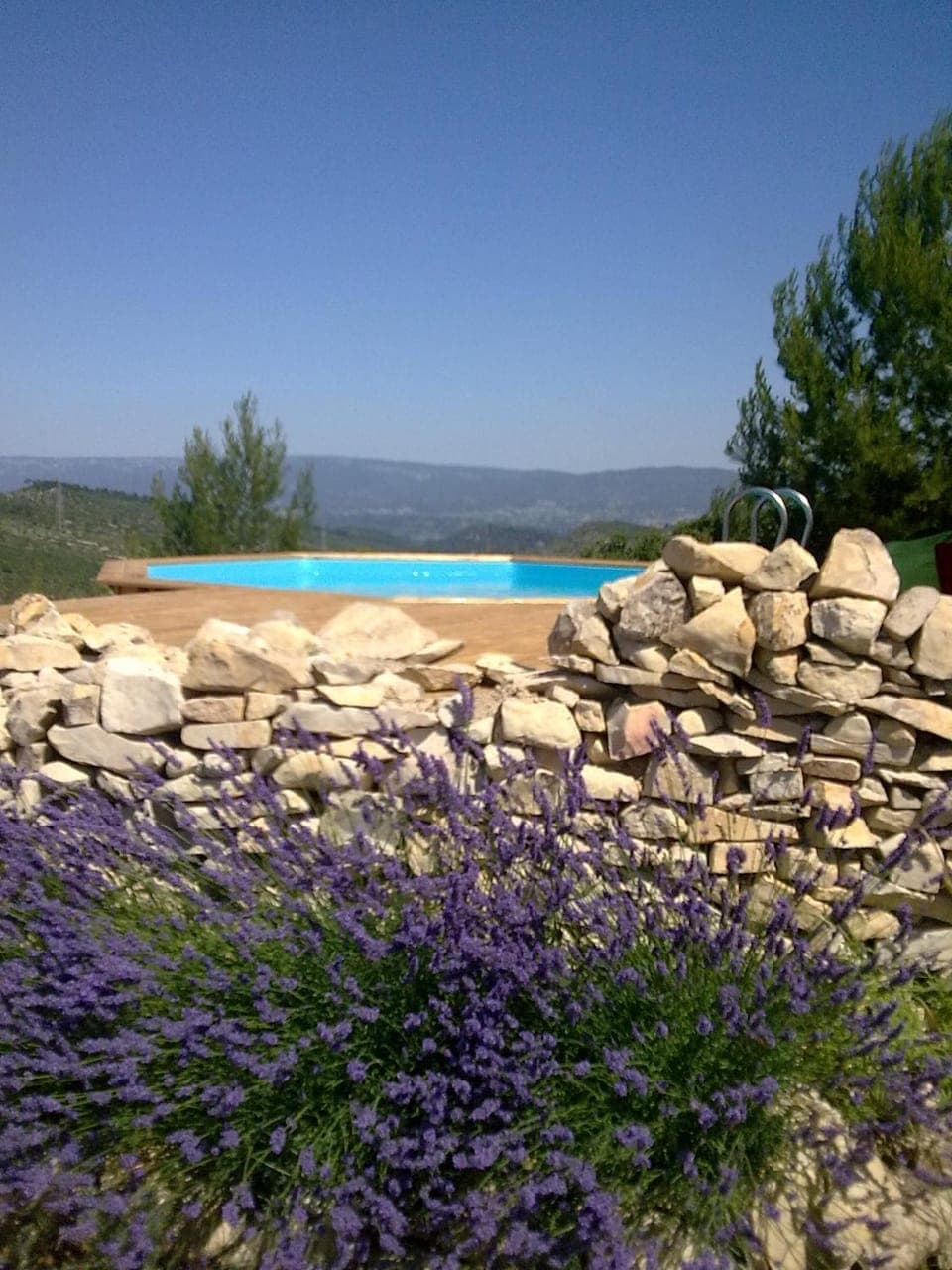 Garden view, Swimming pool