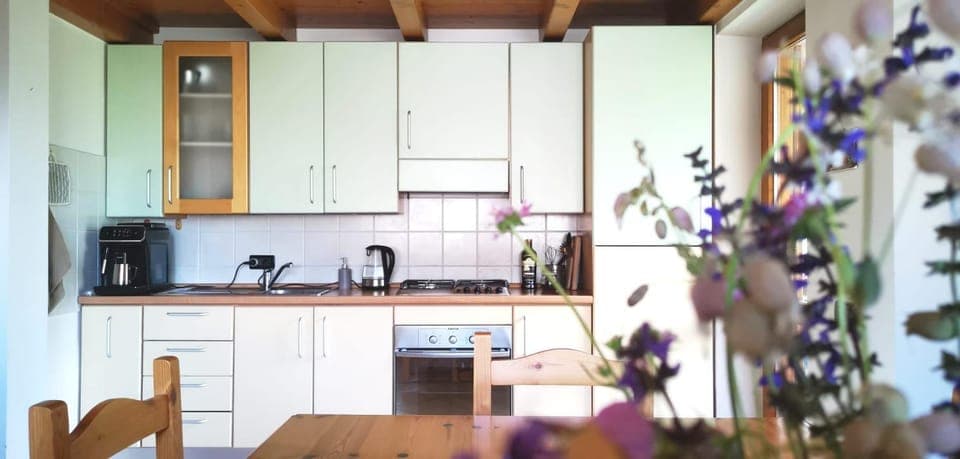 Kitchen or kitchenette, minibar, pet friendly, stove