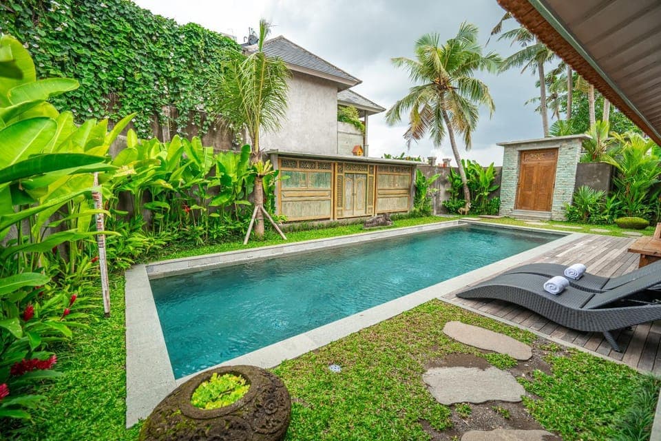 Garden, Pool view, Swimming pool, Swimming pool, sunbed