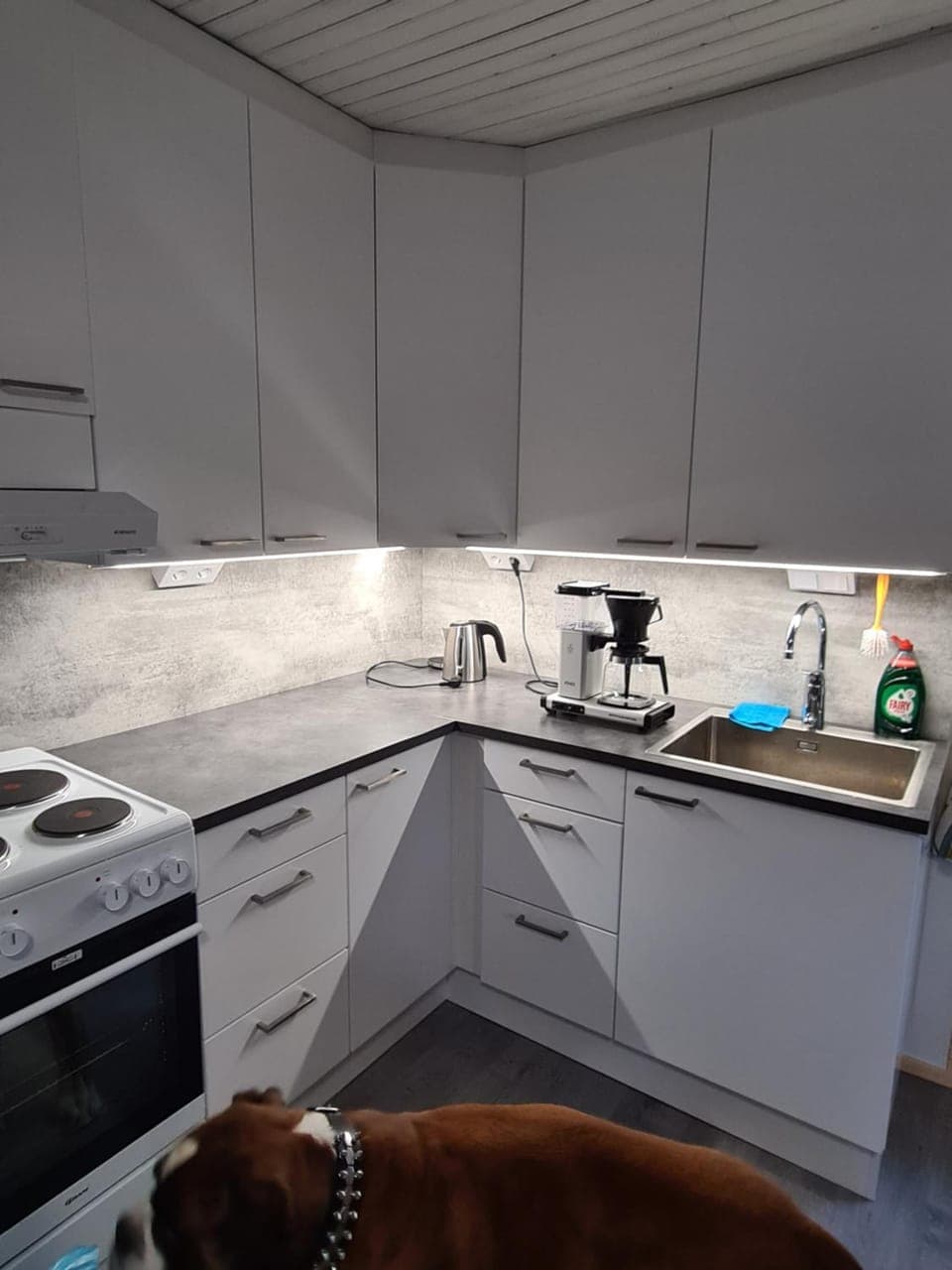Kitchen or kitchenette