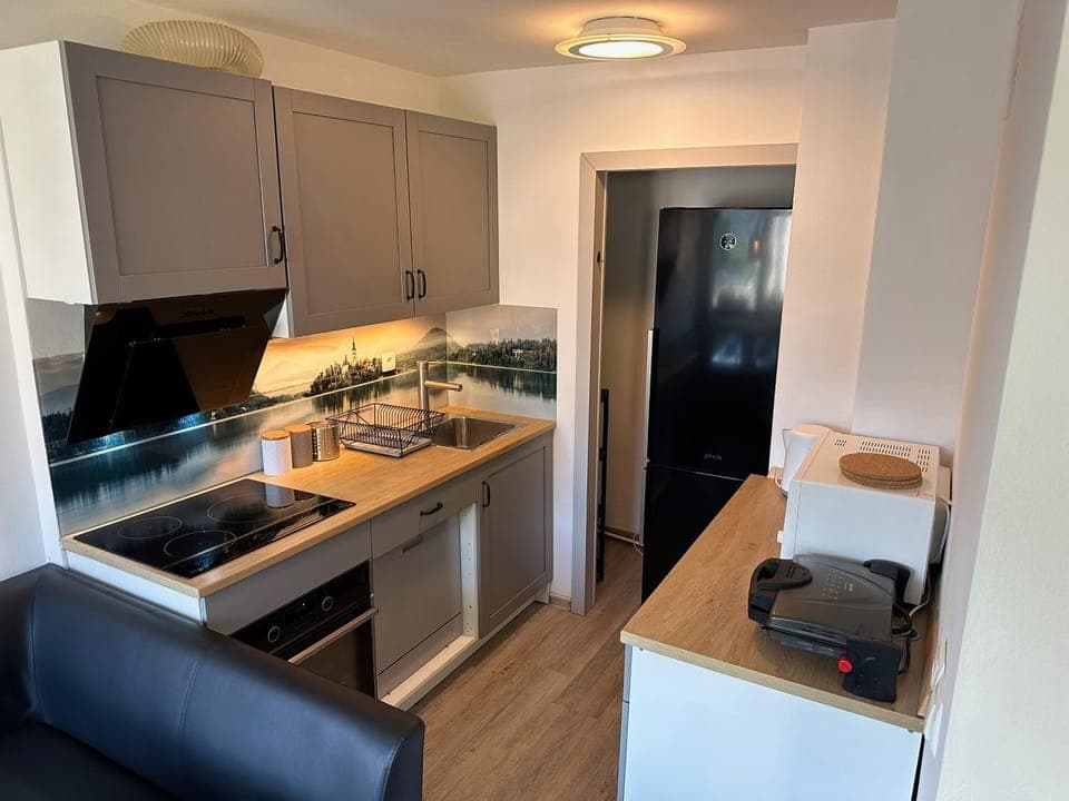 Kitchen or kitchenette, dishwasher, minibar, pet friendly, stove