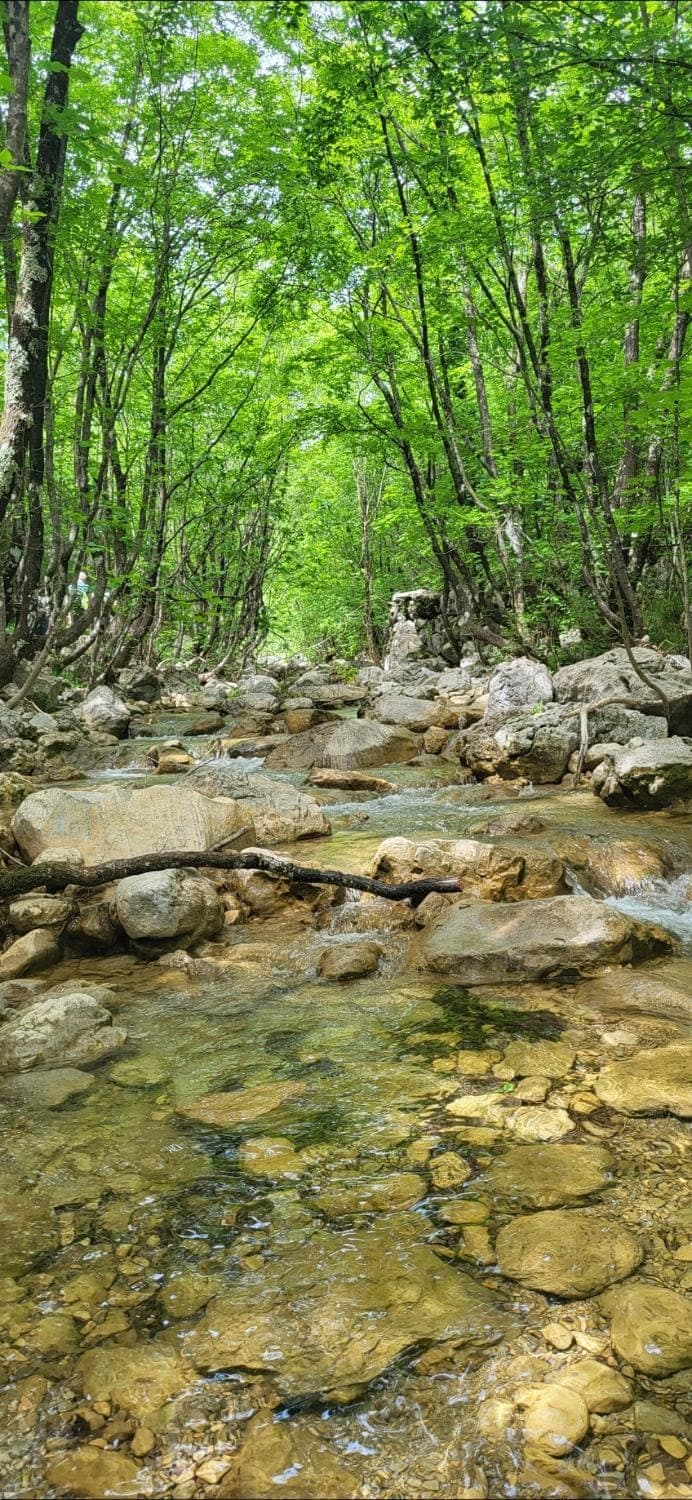 Natural landscape