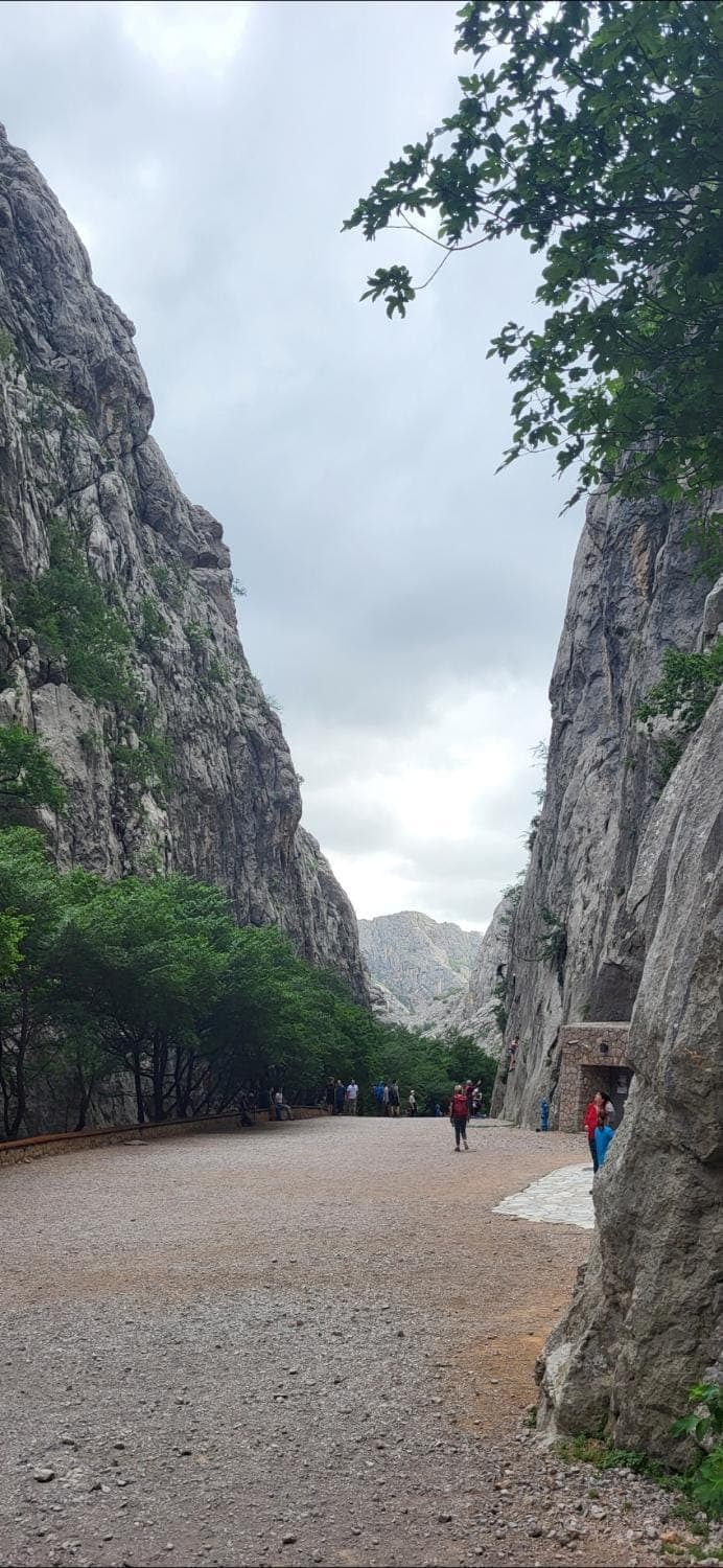Natural landscape
