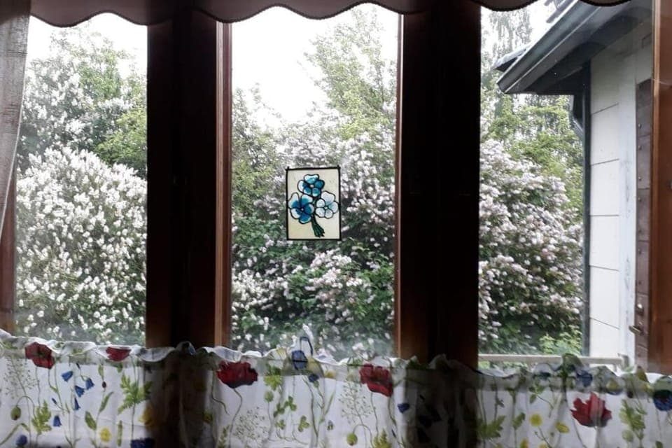 Garden view, kitchen