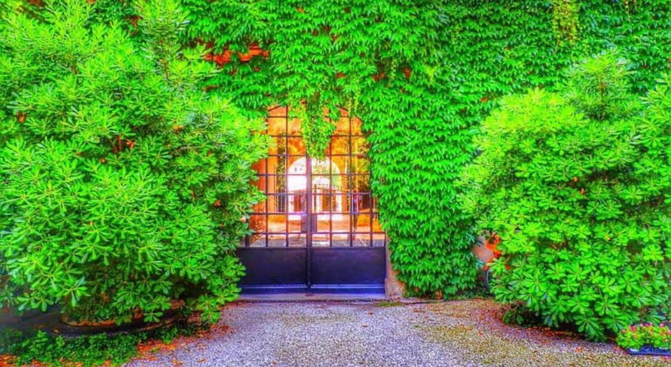 Property building, Facade/entrance, Spring, Summer, Garden, View (from property/room), Decorative detail, Garden view, Seasons