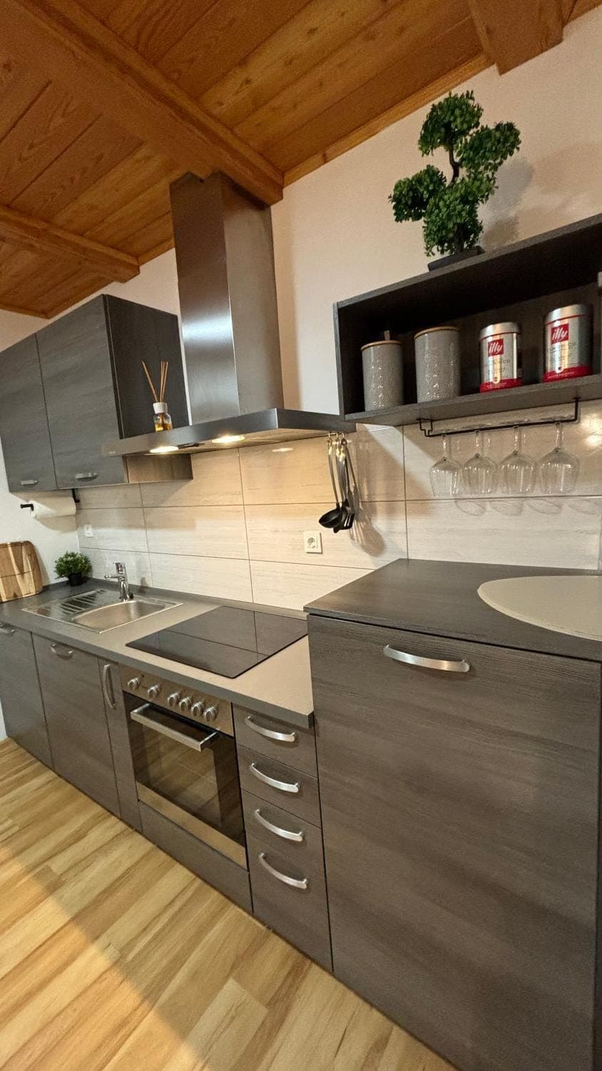 Kitchen or kitchenette, dishwasher, stove