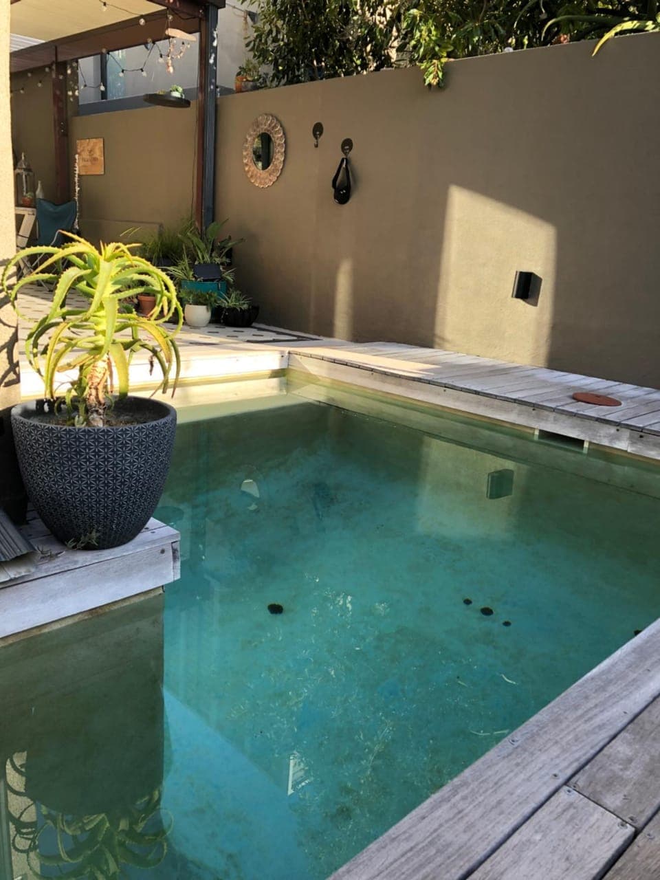 Day, Pool view, Swimming pool