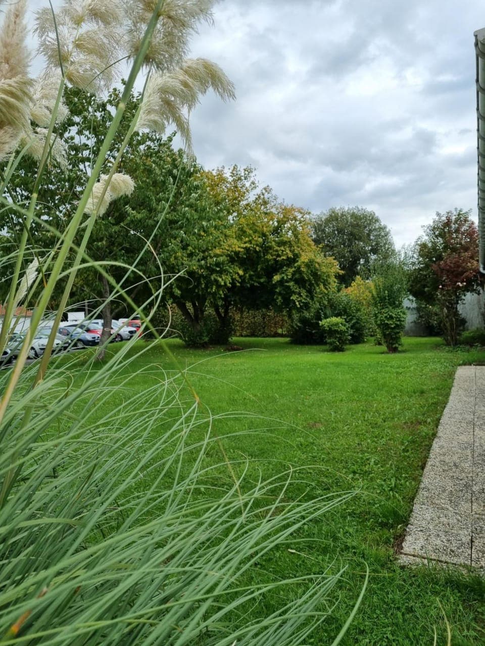 Natural landscape, Garden, Garden view